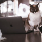 MacBook Proを安く入手したい。そんなときは整備済製品をチェック！